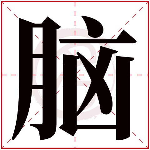 脑字的拼音:nao 脑的繁体字:脑(若无繁体,则显示本字)   脑字的笔画