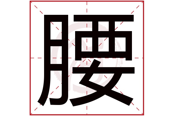 腰字的拼音:yao腰的繁体字:腰(若无繁体,则显示本字)腰字的笔画数: