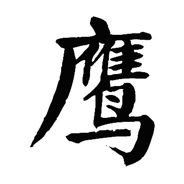 鹰 鹰