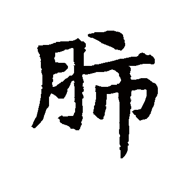 肺字的拼音:fei 肺的繁体字:肺(若无繁体,则显示本字)   肺字的笔画