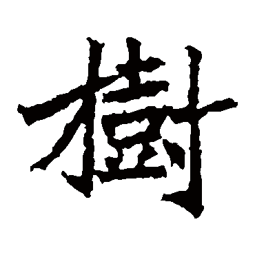 树 树