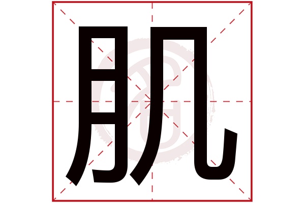 肌是什么意思 肌的繁体字 肌有几笔 肌字几画 肌是什么意思 肌的繁体字 肌有几笔 肌字几画