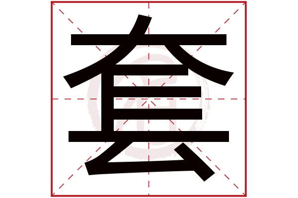 套