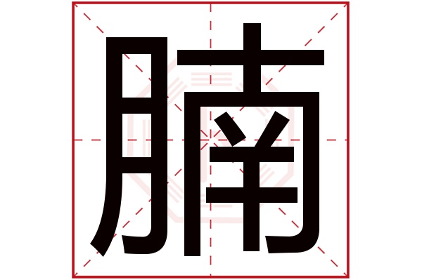 腩字