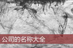 公司的名称大全