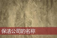保洁公司的名称
