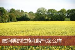 属狗男的性格和脾气怎么样