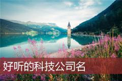 好听的科技公司名