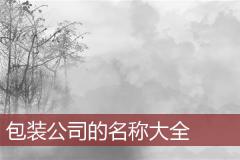 包装公司的名称大全