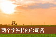 两个字独特的公司名