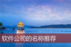 软件公司的名称推荐