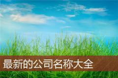 最新的公司名称大全