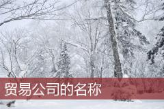 贸易公司的名称