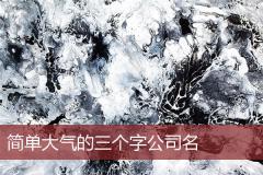 简单大气的三个字公司名
