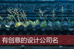 有创意的设计公司名