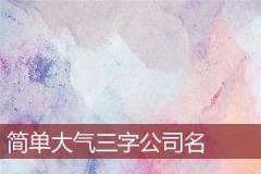 简单大气三字公司名