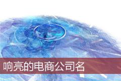 响亮的电商公司名