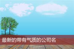 最新的带有气质的公司名