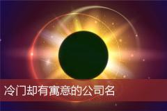 冷门却有寓意的公司名