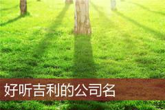 好听吉利的公司名