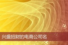 兴盛招财的电商公司名