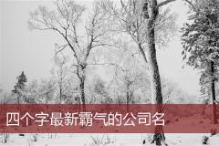 四个字最新霸气的公司名