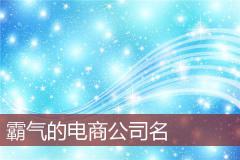霸气的电商公司名