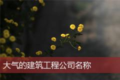大气的建筑工程公司名称