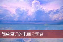 简单易记的电商公司名