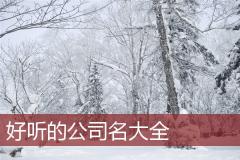 好听的公司名大全
