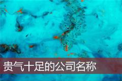 贵气十足的公司名称