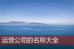 运营公司的名称大全