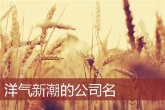 洋气新潮的公司名