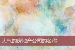 大气的房地产公司的名称