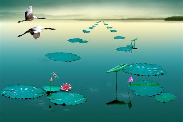 为什么姓名测试应以繁体字笔画为准 姓名网