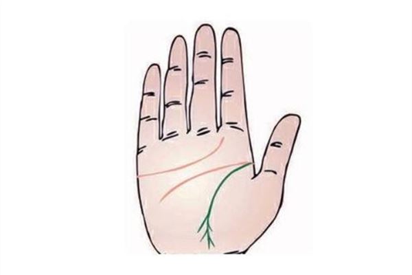 如何看生命线分叉平行 姓名网