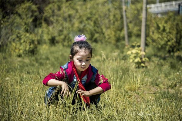 顺口的英文名女孩 英文小名女孩顺口 实验室设备网